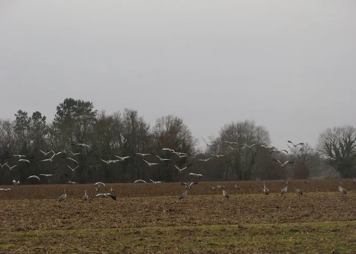 La Petite Mongesse * Morcenx