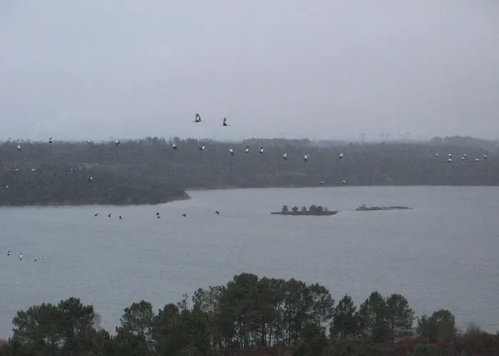 La Petite Mongesse Morcenx